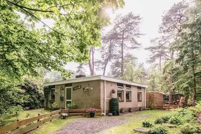 Image de Maison de vacances prטs de la forךt א Ommen avec piscine