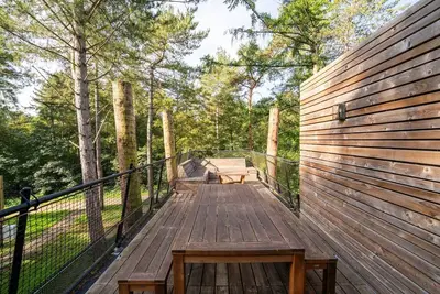 Image de Vue sur la forêt Treeloft Belvilla