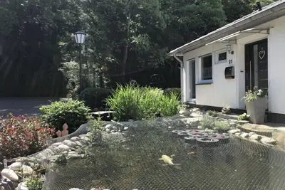 Image de Appartement en lisière de forêt