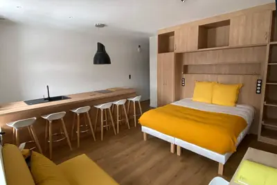 Image de Appart'hôtel (vue sur le lac Chambon)