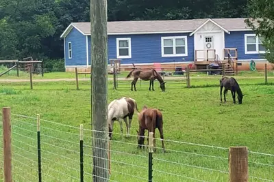 Image de Roomy 3-bedroom horse ranchette with hiking/biking trails. Noccalula & Gadsden