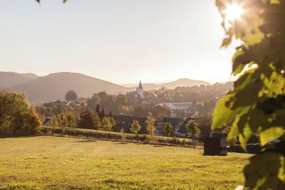 Image de Stay at Am SĂĽdhang 27 Winterberg: a charming holiday home within walking distance of the center and ski area. Perfect for an active or relaxing holiday!