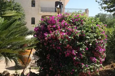 Image de La Mery Giò House