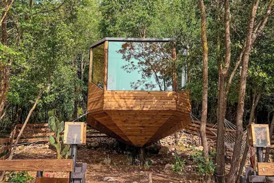 Image de Monkey Mansion - Luxurious treehouse with outdoor hot tub