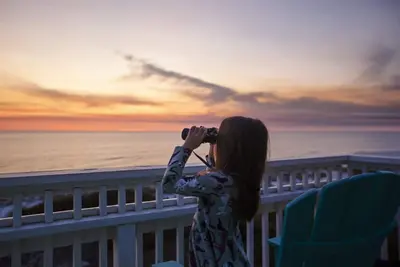 Image de Great Escape ~ Oceanfront | Private Boardwalk| Dog