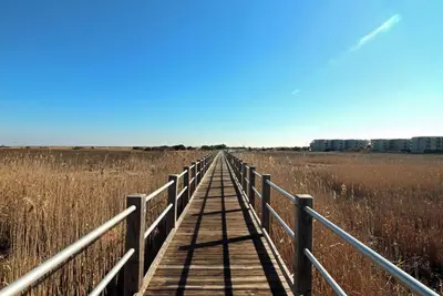 Image de Hidden Gem on the North End of Carolina Beach