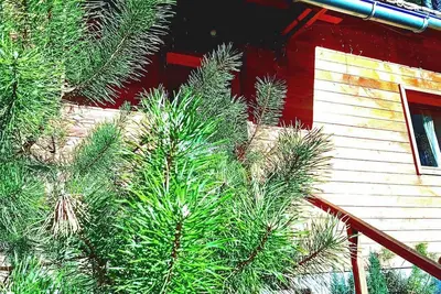 Image de Domain les lodges nature, private wellness