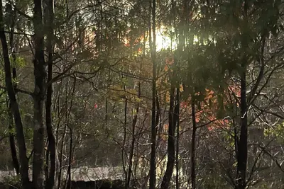 Image de Camp/sleep van laundry Clean restrooms Nature WiFi central Fl. You will love it