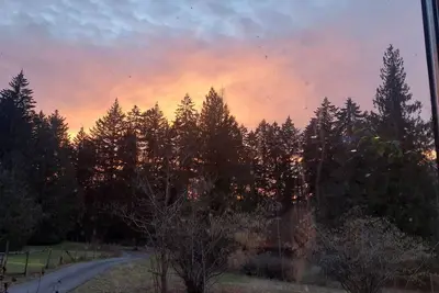 Image de Yellow Point Country Acres\nCentral Vancouver Island Adventures BnB