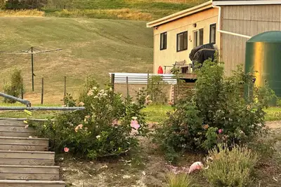 Image de Cabin Kaipara bliss/ peaceful, . Pet friendly