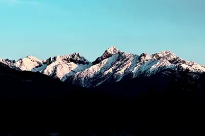 Image de Le cèdre murmurant🌲🏡