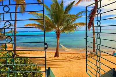 Image de Beachy Keen - Tropical Beachfront Condo - New Listing Discount!