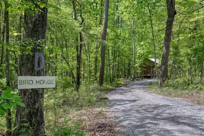 Image de Bird House-woodsy getaway w/hot tub & fire pit