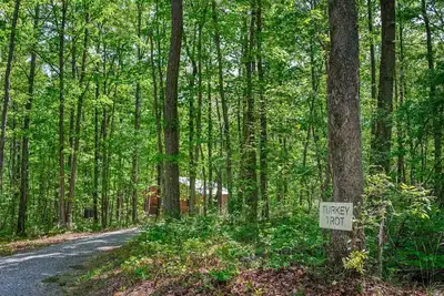 Image de Turkey Trot-cozy cabin w/hot tub & fire pit