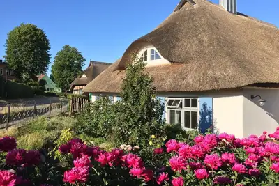 Image de Vacation home \"Büdnerei Wustrow\" - approx. 140 m² living space for 2-6 persons with sauna