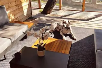Image de Bungalow \"Sunset Lodge\" avec vue sur la mer, piscine partagée et climatisation