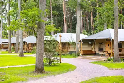 Image de Lodge au Serengeti Park avec Safari Aventure