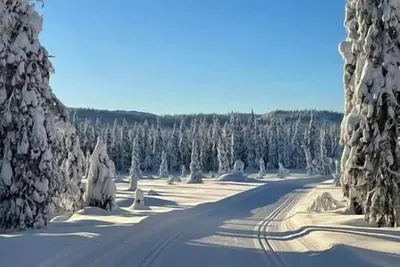 Image de New cabin at Skeikampen, perfect for families!