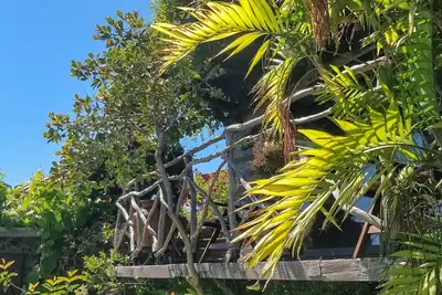 Image de Cottage Palha, hanging in a tropical garden