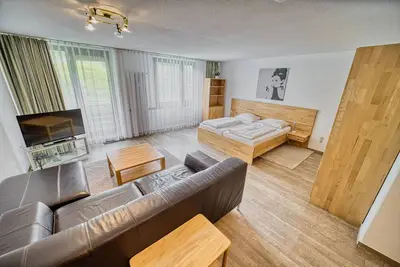 Image de 722 - Premium | 55 sqm 1, 5 room (with Hochschwarzwaldkarte) - Ferienwohnungen am Feldberg