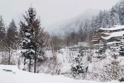 Image de Casa Dixi Busteni
