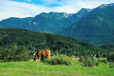 Image de Visit nature at Courtyard Portland Southeast/Clackamas