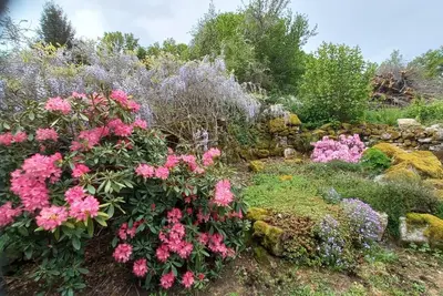 Image de Charmante maison de campagne près de la forêt avec piscine et jardin privé