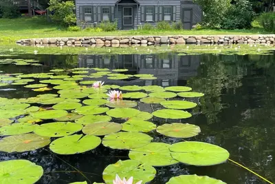Image de The Little House. Historic 2-Br waterfront cottage in Winchester w\/ WiFi, Ac
