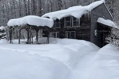 Image de Dream Cabin in charming Hyde Park with WiFi access