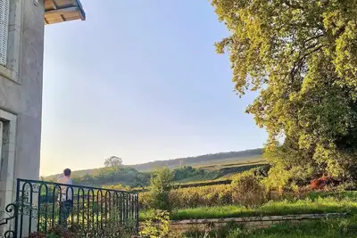 Image de Villa de charme et ses vignes de Corton