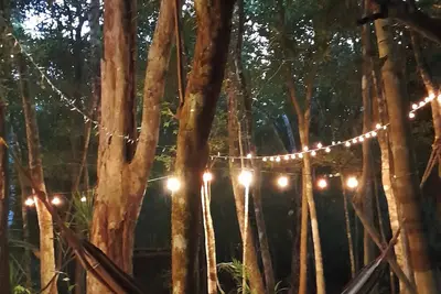 Image de House in the jungle outside of tulum pueblo, on a large property 50x60 meter lot