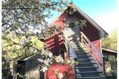 Image de Genuine Farm experience! Barn loft on Organic Farm—pet pig and chickens below!