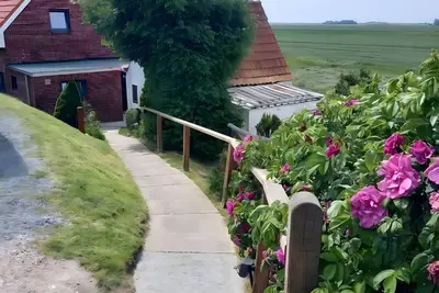 Image de Maison de vacances 'Schooster Huus' avec terrasse privée et Wi-Fi
