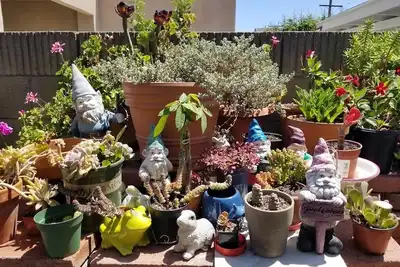 Image de Entire Cozy Home with Enclosed Patio Near Disneyland