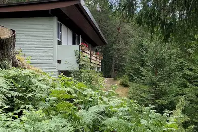 Image de Chalet in the enchanted forest
