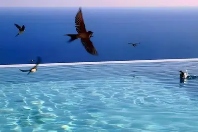 Image de Appartement 'Kaladi Rock Ammos' avec vue sur la mer, piscine partagée et Wi-Fi