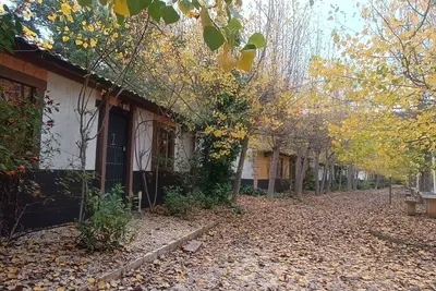 Image de Rural House A1 next to the Tus River with swimming pool