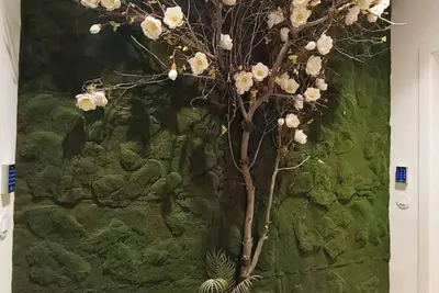 Image de Spring 2nd Drt