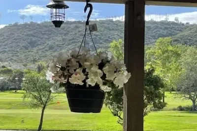 Image de Come for tranquility, peace & beauty. Best value for your money! Great location