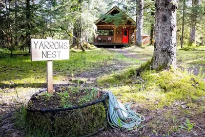 Image de Cozy cabin w/ WiFi amongst the spruce trees adjacent to Glacier Bay Nat'l Park.