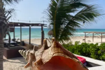 Image de Amazing Beachfront 3-Bdrs. groundfloor Suite “Chef & Staff”in Playa del Secreto