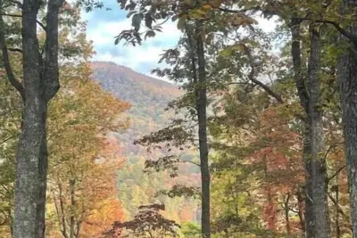 Image de Lovely 1-bedroom, 1100 sqft apartment, patio in forest, beautiful Blue Ridges