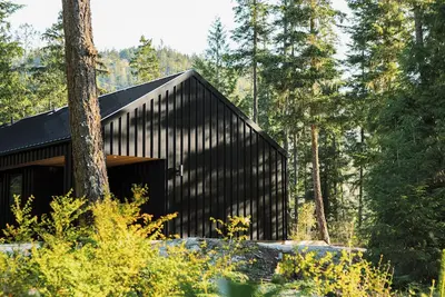 Image de Scandinavian-inspired black cabin with cedar hot tub in a private forest.