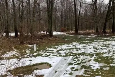 Image de Acres Away | Seclusion a Short Trip from Lake Michigan