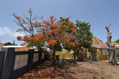 Image de 2-Bedroom spacious house, Peaceful area with Nature Vibes Curaçao