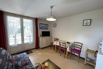 Image de Coquet studio avec terrasse au Lioran, animaux admis