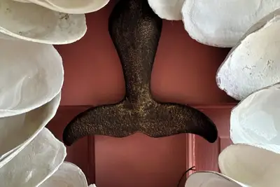 Image de Newly renovated Mid-Century Modern beach experience in Brewster