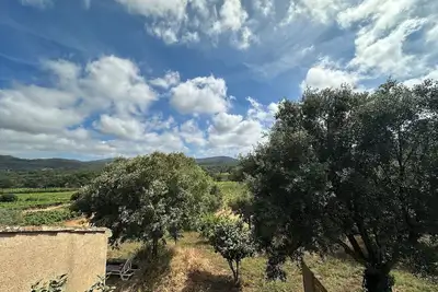 Image de Appartement T3 rénové avec goût au coeur des vignes