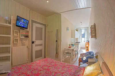Image de Luchon Studio Confort 2 pers C ville-Wifi( >500Mbs) / Jardin