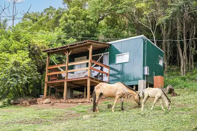 Image de Equus House on a stud farm with horse riding, stunning views and a great location